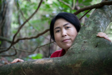 Visit in organized jungle